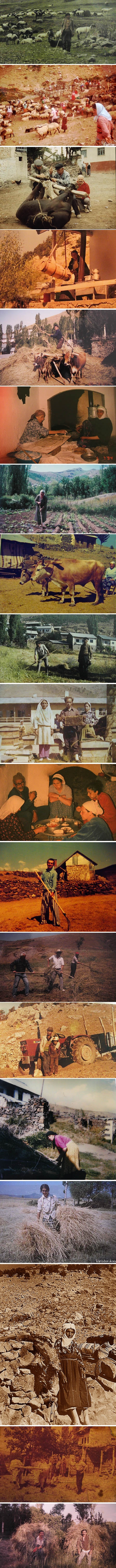 album_2-koyde_yasam-grup-1.jpg