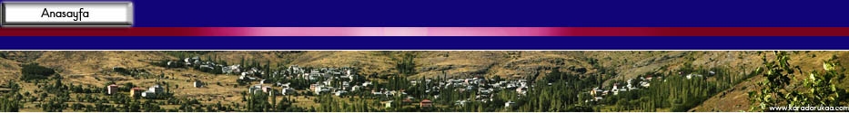 baslik_cubuklari-anasayfa_koy33cm.jpg