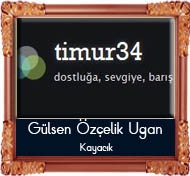 bizim_sitelerimiz_gulsen-ozcelik.jpg