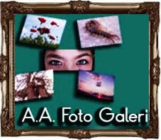 tumfototeksayfa.aa.galeri.jpg